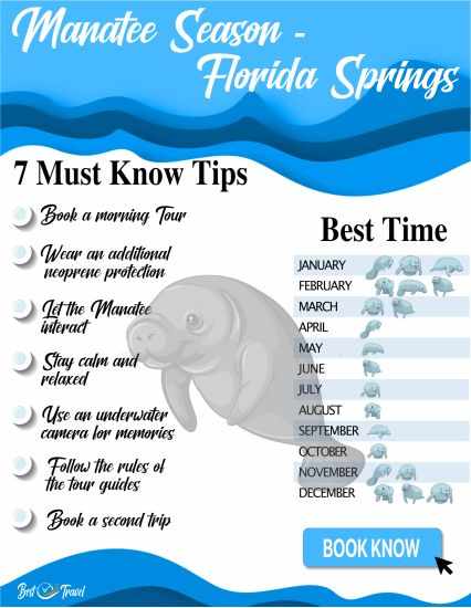 Manatee Info Graphic