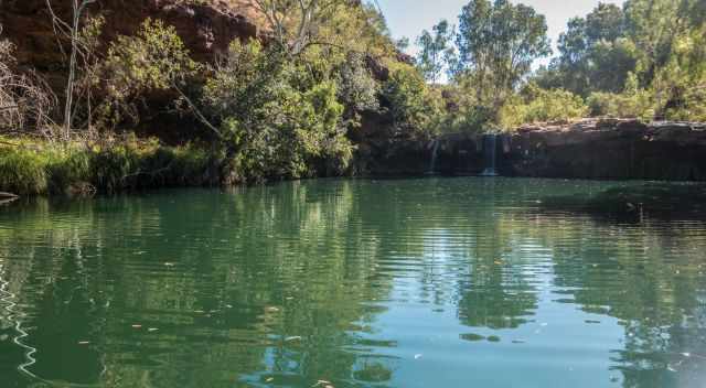 Fern Pool - Karijini